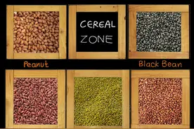 Not have a bean身无分文图片