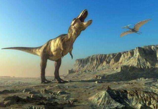 霸王龙比大象还大一倍,活在现在会怎样?成动物霸主,却可能饿死