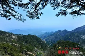 泰山后石坞：彩墨流韵露岱宗，松涛阵阵闻天籁图片