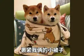 13岁女孩胖到200斤，还查出一身病！都是因为爱吃……图片