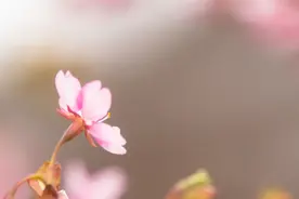 男人越喜欢你，就越不理你图片