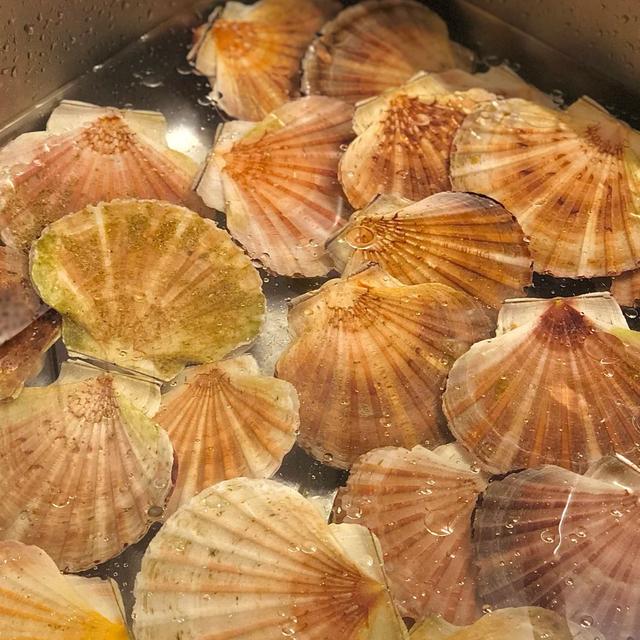 带子,扇贝,元贝有啥分别?该怎么挑选?一文教会你