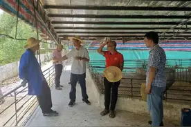“铁桶模式”助他养猪赚百万！真的翻身了！（下）图片