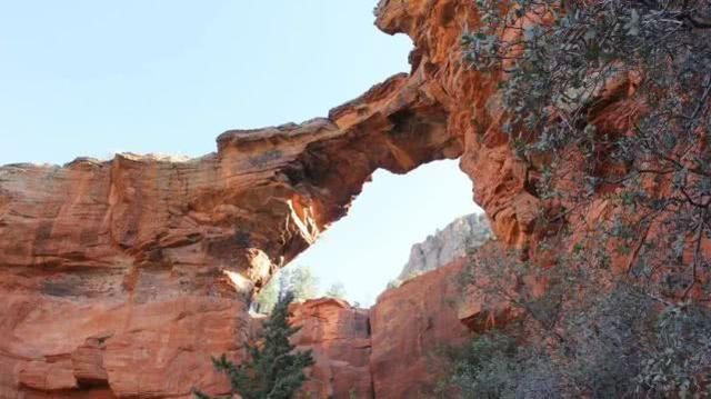 洛克王国齿龙技能表（科幻走进现实这些地球上的外星居所超乎想象）