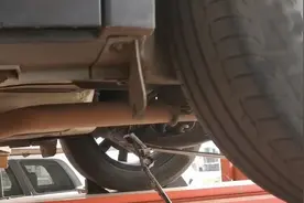 云南一剧毒金环蛇钻车里冬眠！金环蛇有多毒？比银环蛇还厉害吗？图片
