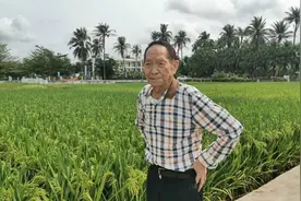 袁隆平院士重磅发声：中国不会出现“粮荒” ！图片