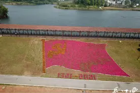 鲜花“绣”出巨幅党旗，武汉红色打卡地等你约图片