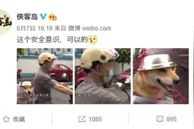 笑喷！大爷骑车给狗子戴自制头盔，网友：“铁帽子汪”表情包安排图片