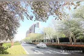 洛阳有一条开满花的路，在这里图片