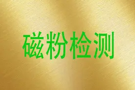 用磁畴理论解释铁磁性材料的磁化过程图片