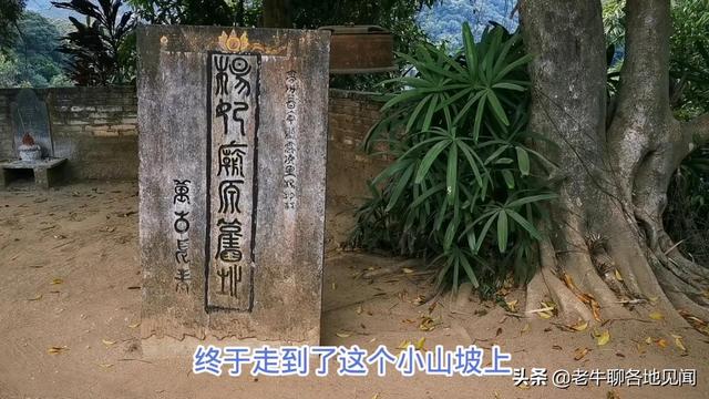 杨贵妃是不是广西容县人？山西陕西四川河南表示不服， 去探查