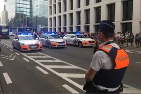 比利时警衔标识图片