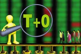 重磅！上交所研究引入单次“T+0交易”，这些板块有望火爆图片