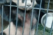 小孩子的尴尬能叫尴尬吗图片