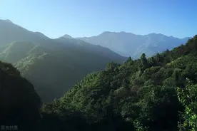 巨鼠斗青蛇，报恩山脚下图片