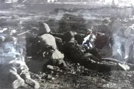 唱支军歌给党听 | 《白老虎部队之歌》，唱起来虎虎生威！图片