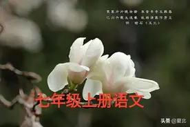 部编版七年级上册语文《春》基础知识练习题及答案图片