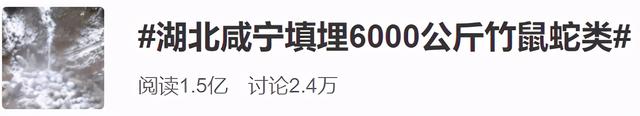 日本电影鸡皮疙瘩百度云资源