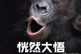 你有没有健身的天赋，看完这五点你就知道了图片