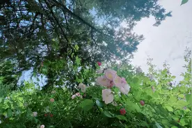 不主动联系你，却有如此表现的人：心里还很在乎你图片