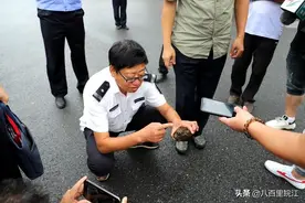 男子溪边捡到“乌龟”，上网查询发现是国家一线保护动物后逐放生图片