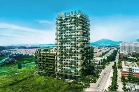 入陕6年、布局40余盘，碧桂园能“问鼎销售之巅”吗？图片