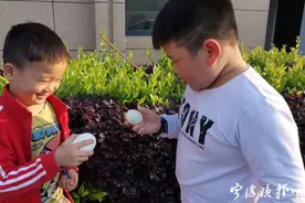 煮茶叶蛋、称重、编蛋套……宁波有所幼儿园让孩子们在线上过立夏图片