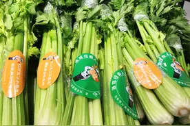 有安全更团圆！包头交警宣传出新招，让你把“安全”带回家图片