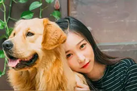 狗狗迷惑行为大赏，这些行为背后的意思，你读懂了吗？图片