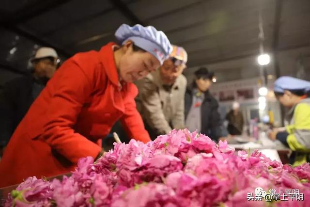 今天,平阴向全世界发出邀请!
