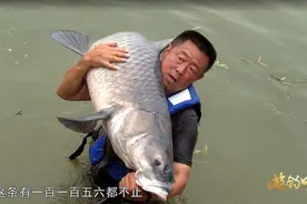 千元价位，能钓百斤大鱼，开沃剑舞鲤值得入手吗？图片