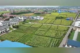 株洲醴陵白兔潭镇汆溪村：党建为乡村强经济树新风图片
