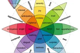 性别与色彩偏好：你喜欢什么颜色是由别人决定的，或许和自己无关图片