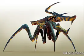 盘点经典科幻片《星河战队》中的阿拉奇尼斯虫族种类图片