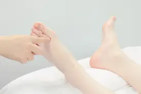 胰腺反射区，主要功效生发胃气、燥化脾湿图片