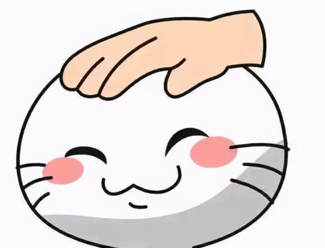 2025年11月4日 第24页