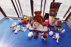 养狗启蒙篇，刚养狗的铲屎官可以来看看。图片