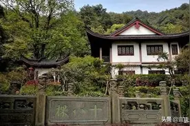 30元一斤的茶叶和3000元一斤的茶叶差在哪里？店主为你揭秘图片