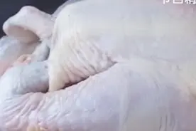 女士买回的三黄鸡，发现有些部位发绿，吓得不敢吃了，怎么回事呢视频封面