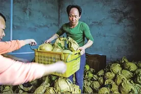 平山村“甜蜜”脱贫图片