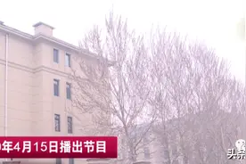 解决了！苦等房子七年，半年跟踪报道，绿地海域中央别墅业主维权成功图片