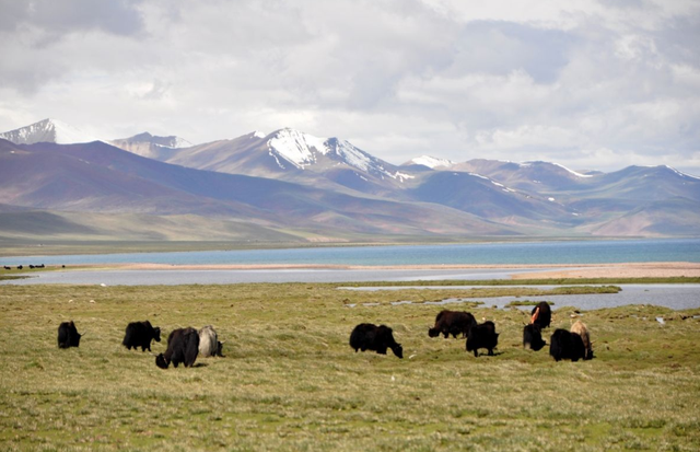 8年花费32.33亿美元，为什么肯尼亚宁愿借钱，也要修建蒙内铁路？
