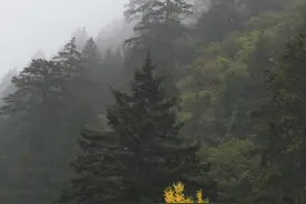 兴隆山游记图片