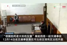 “铁锹拍死老太拍伤女童案”相关交通事故案开庭，被害人家属成被告图片