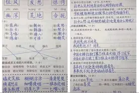 9岁男孩写字像是印刷体，老师称不忍心打叉，网友：王羲之再世图片