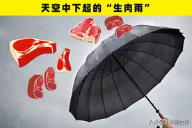奇怪的雨：在世界各地发生过的6个奇怪的降雨图片