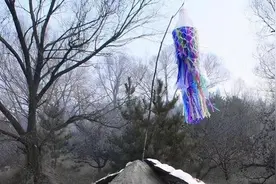 “引魂幡”谁扛为好？长子还是长孙？你们家乡是怎样的习俗？图片