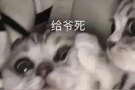 直男专属认错表情包，得罪自家小祖宗的快快收藏吧图片