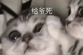 直男专属认错表情包，得罪自家小祖宗的快快收藏吧图片