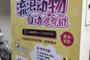 别急着喷作秀，我其实看好流浪猫自动喂食机图片